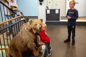 Efterårsferien på Naturhistorisk Museum
