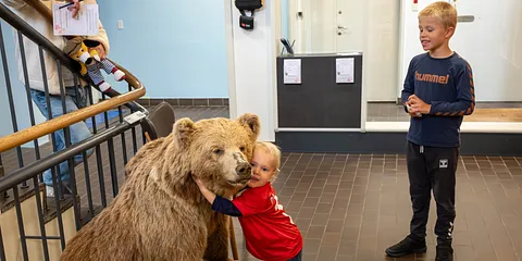 Efterårsferien på Naturhistorisk Museum