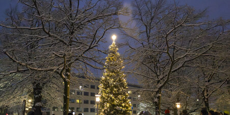 Juletræstænding på Rådhuspladsen