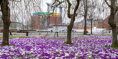 Rådhusparken i fuld flor
