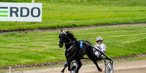 Kristi Himmelsfartsløbet - DM for amatører 2024