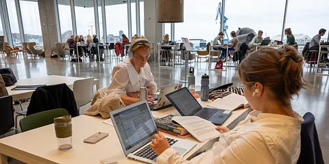 DOKK 1, Stemningsbilleder