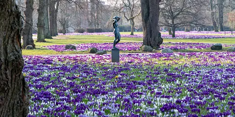 Rådhusparken i fuld flor