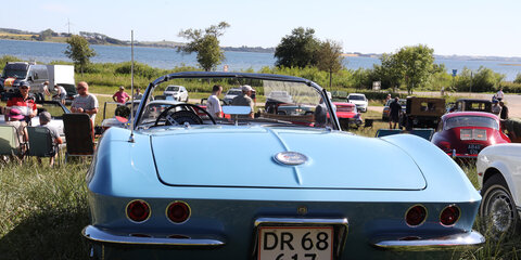 Kalø Slotsruin tirsdagstræf 