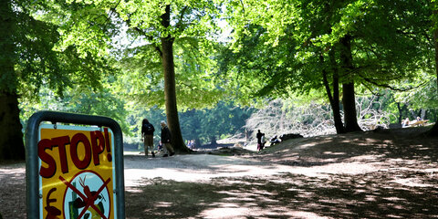 Marselisborg Dyrehave