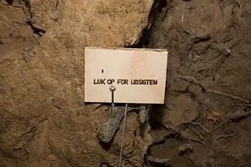 Kunst i Sønderskoven 2025