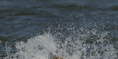 DM i Vandski 2008, på Stilling Sø