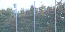 Molsløbet Knebel 2008