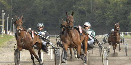 til løb på Jysk Væddeløbsbane
