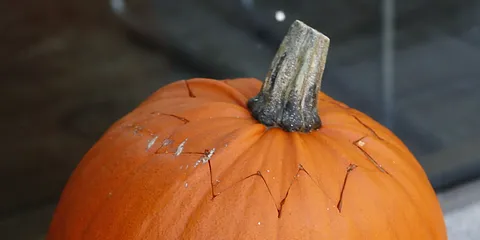 Et par SPOTS fra Stiften til Boulevarden