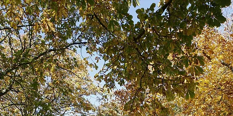 Efterår Odder & omegn