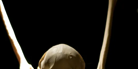 Naturhistorisk Museum