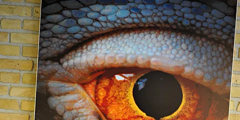 Naturhistorisk Museum