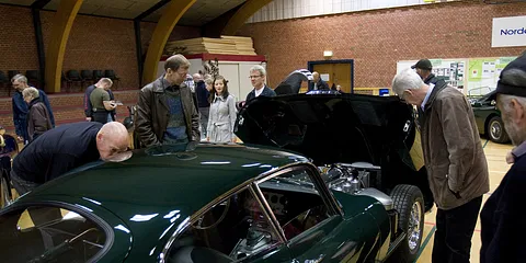 Jaguar i Ørting