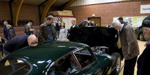 Jaguar i Ørting