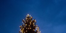Juletræet tændes