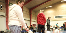 Århus Hunde udstilling